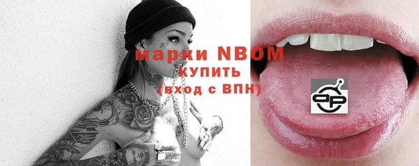 хмурый Алзамай