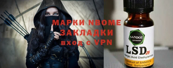 хмурый Алзамай
