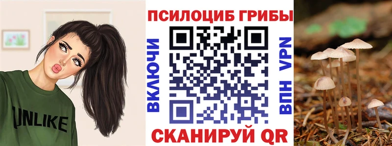 закладка  Среднеколымск  Псилоцибиновые грибы мицелий 